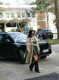 Ceca Raznatovic