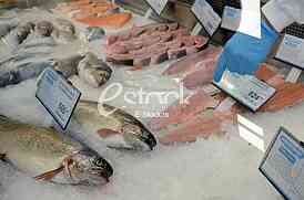 Super Market Univerexsport