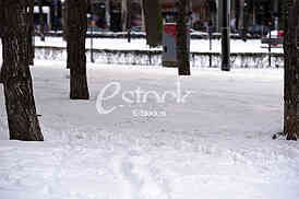 winter