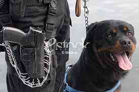 Serbian Police Special Forces Operators