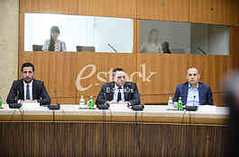 Vucic Maticin