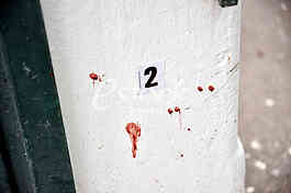 A citizen of Bosnia and Herzegovina, Marko Radovic, was killed in Sevina street in Zemun.