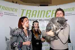 Cat show