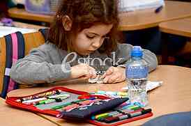 The elementary school Vuk Karadzic
