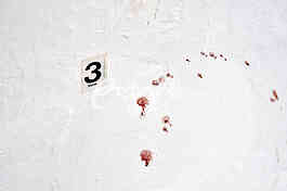 A citizen of Bosnia and Herzegovina, Marko Radovic, was killed in Sevina street in Zemun.