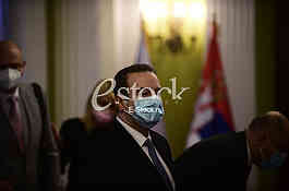 Dacic Petricek