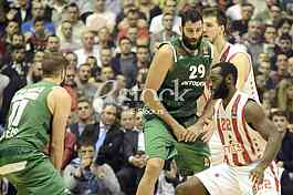 Red Star- Panathinaikos basketball game