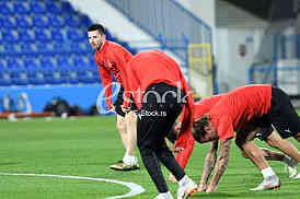 Training of the Serbian national team