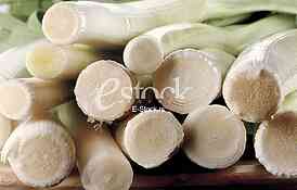 Leek