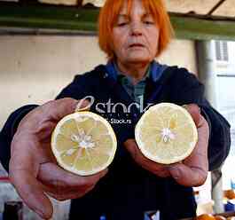lemon,market,lemon