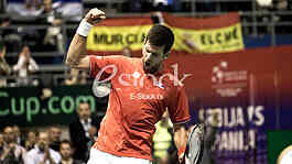 Davis Cup tennis