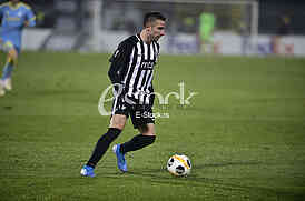 Zoran Tosic