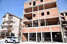 Veronica and Dragan committed suicide in Borca