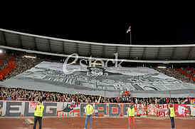 Zvezda Arsenal