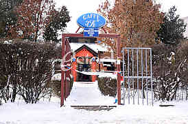 winter