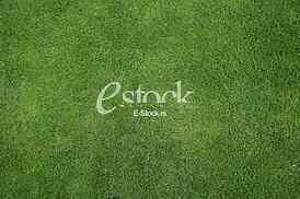 green grass texture or background of golf course and football field