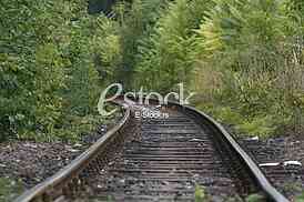 Railway track in a green forest