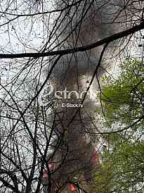 Pozar Stari mlin Obrenovac