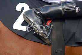 Ljubicevo Equestrian Games
