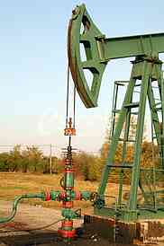 Oil