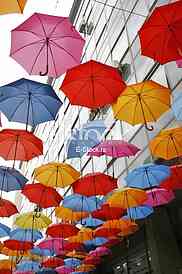 umbrellas in different colors 