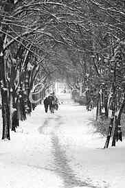 People in winter time