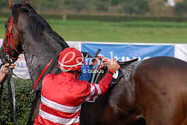 Ljubicevo Equestrian Games
