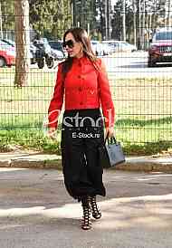 Svetlana Ceca Raznatovic