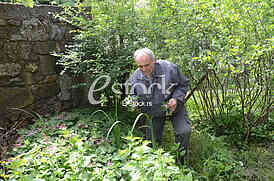Zoran Veselinovic herbalist