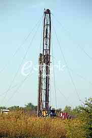 Oil