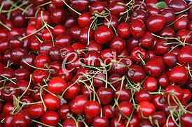 fresh cherries natural cherry to background on the street market