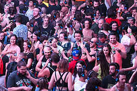 EXIT FESTIVAL