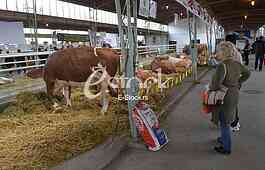 Agricultural machinery at fair