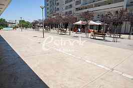 Murder place of Aleksandar Stamenkovic
