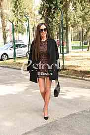 Ceca Raznatovic