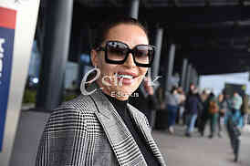 Ceca Raznatovic_aerodrom