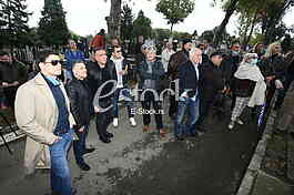 Milan Maric, Bane Obradovic, Zeljko Joksimovic i Aco Pejovic