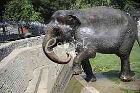 Belgrade zoo on summer day