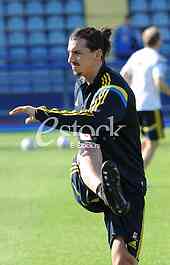 Training of Sweden national football