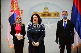 Dijana Vukamnovic, Sanda Raskovic Ivic, Miroslav Aleksic