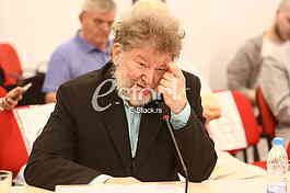 Slobodan Antonic