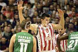 Red Star- Panathinaikos basketball game