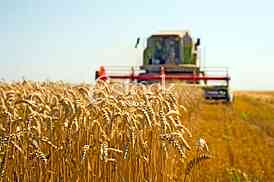 Agriculture