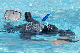 World Championship in freediving