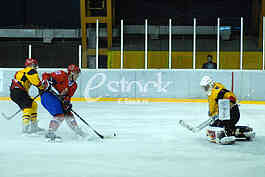 Ice hockey