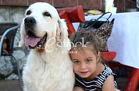 The first international festival of pets 