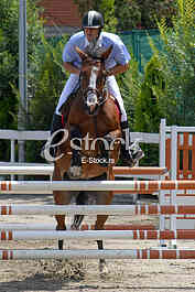 Equestrian Sport