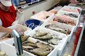 Preparing fish for eating.