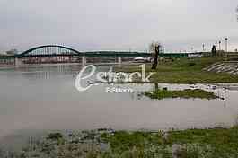 Flood