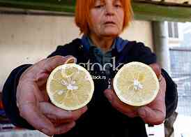 lemon,market,lemon
